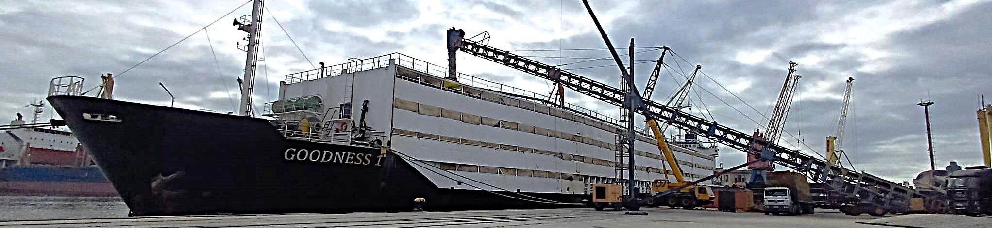 Buque ganadero en día nublado en el puerto de Montevideo