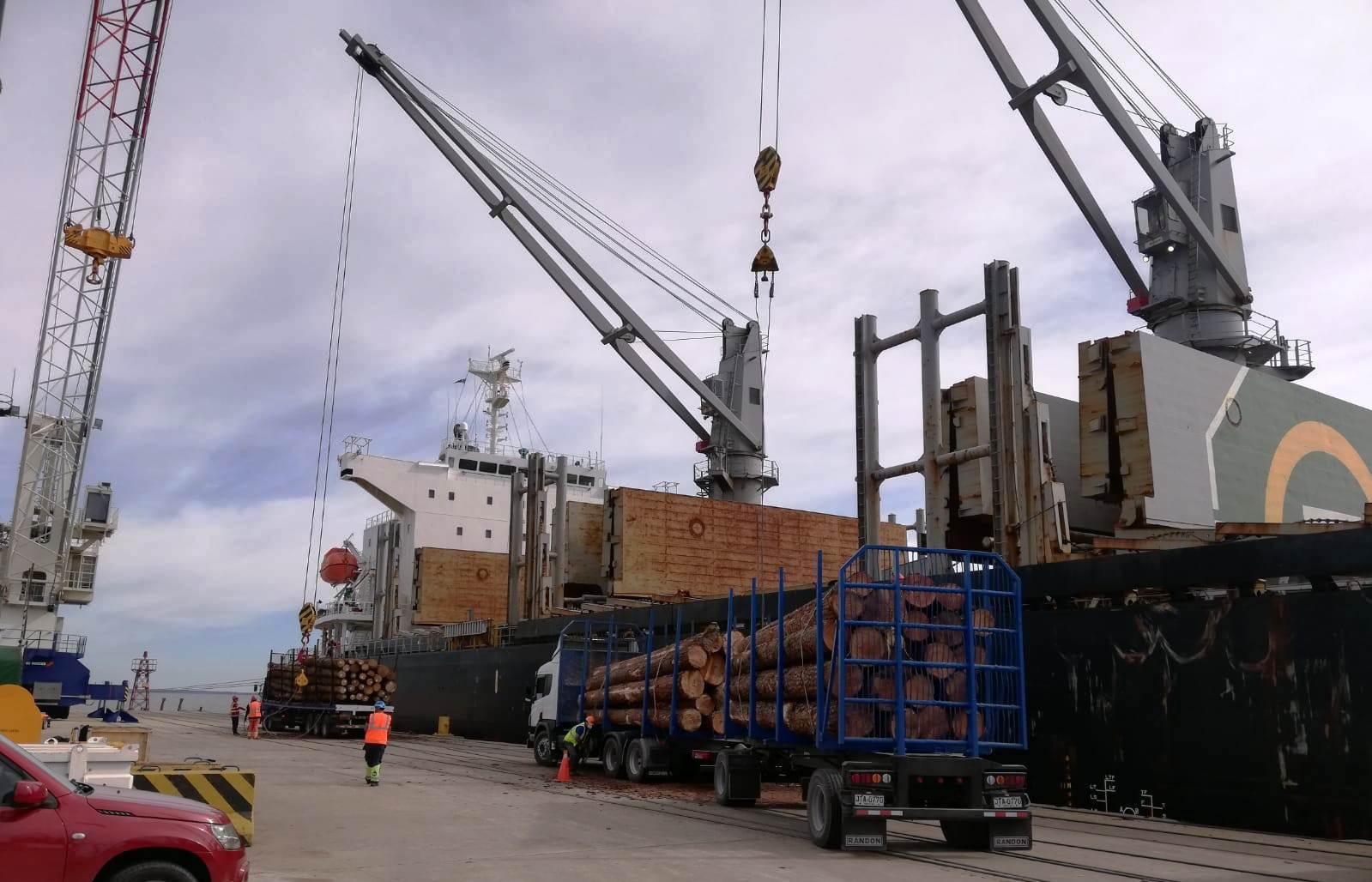 Operativa en el puerto de Fray Bentos - Buque African Macaw carga madera de pino en rolos a granel