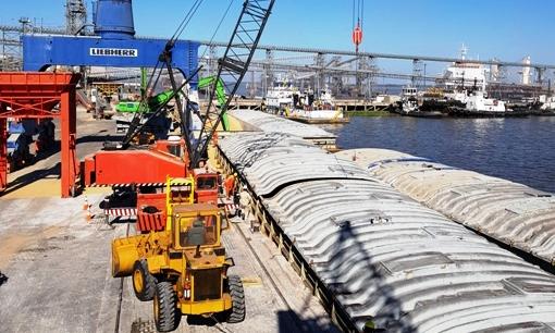 Gran actividad del puerto de Nueva Palmira.