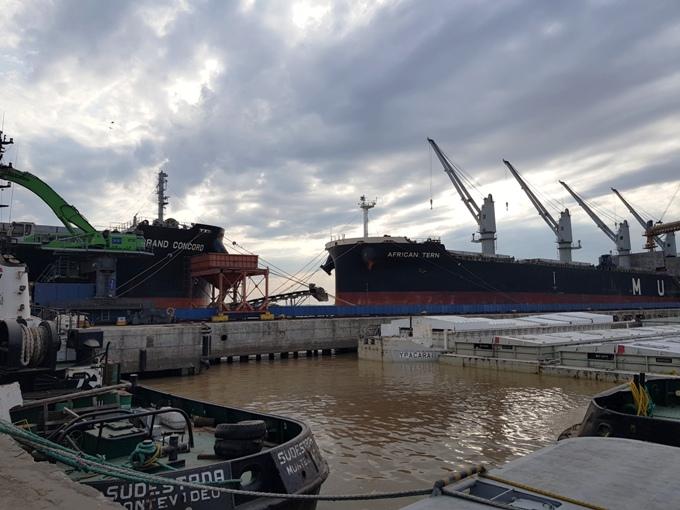 Puerto de Nueva Palmira : Moviliza Soja y fertilizante.