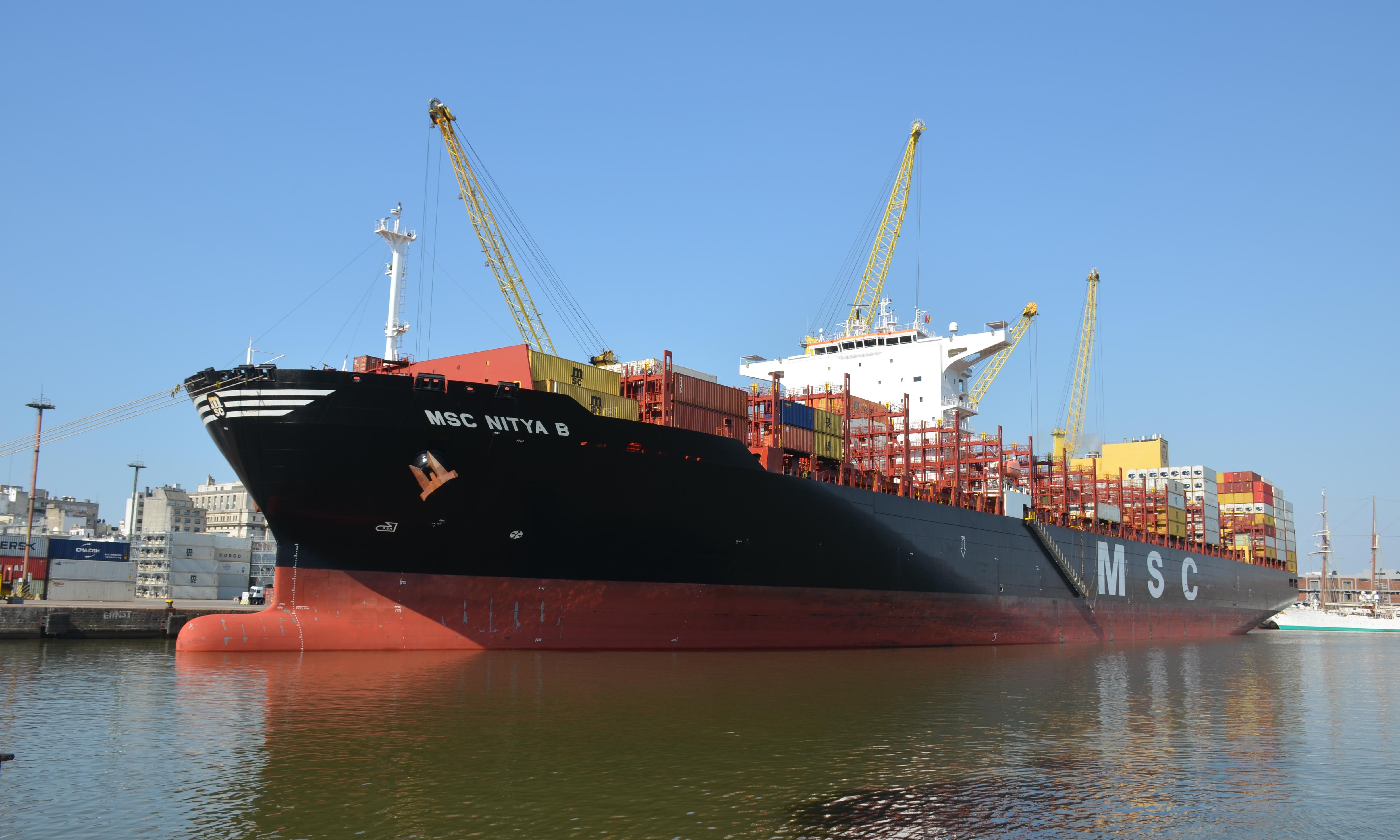 Desde El Muelle: MSC Nitya B. | ANP