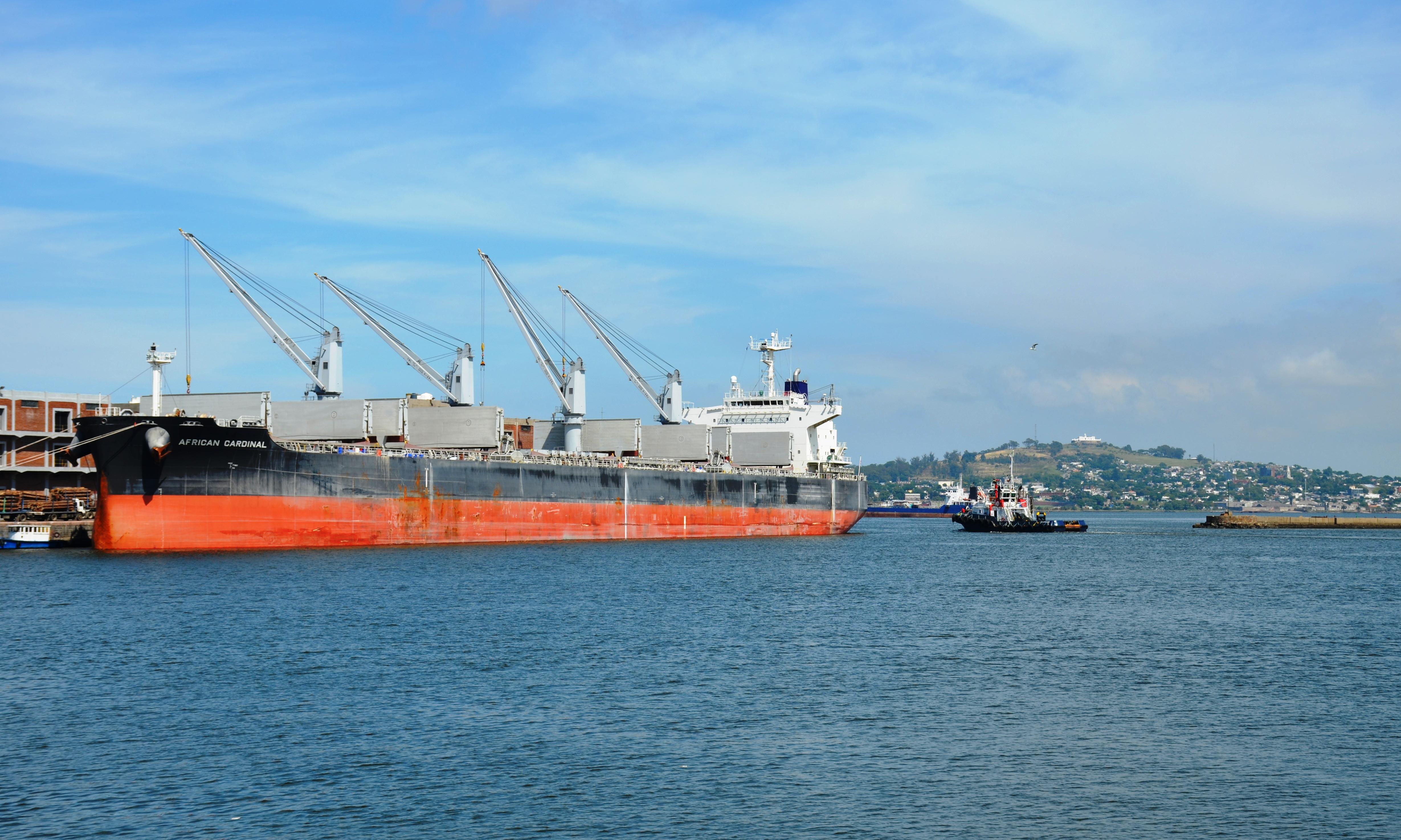 African Cardinal en puerto de Montevideo